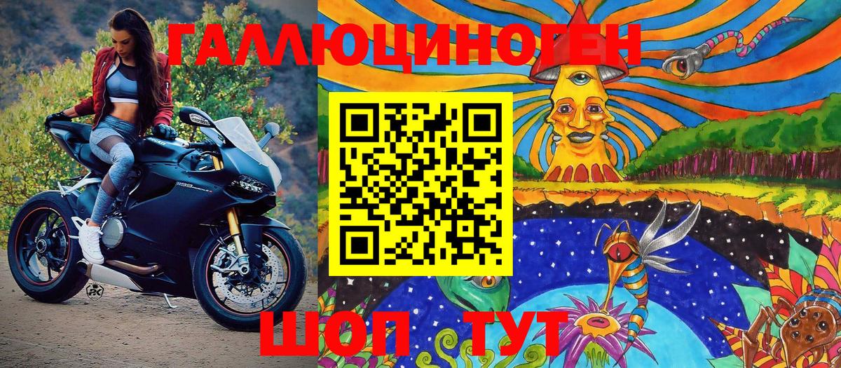 Псилоцибиновые грибы Psilocybine cubensis Крымск