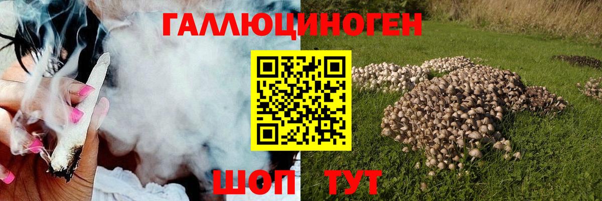 Псилоцибиновые грибы ЛСД  Вход с VPN  Крымск 